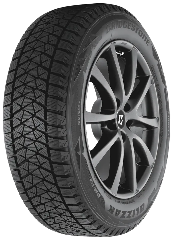 X шина. Bridgestone Blizzak DM-v2. Бриджстоун близак DM-v2. Bridgestone Blizzak DM-v2 102s. Шины Bridgestone Blizzak DM-v2.